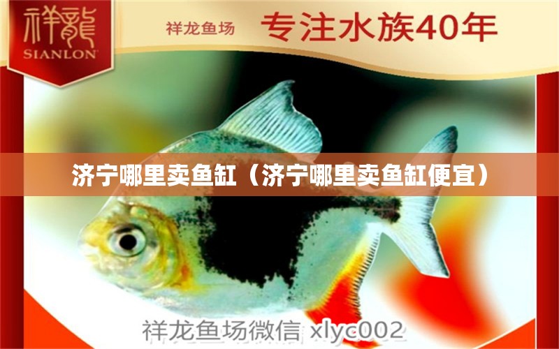 濟寧哪里賣魚缸（濟寧哪里賣魚缸便宜）