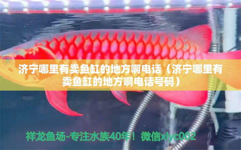 濟寧哪里有賣魚缸的地方啊電話（濟寧哪里有賣魚缸的地方啊電話號碼）