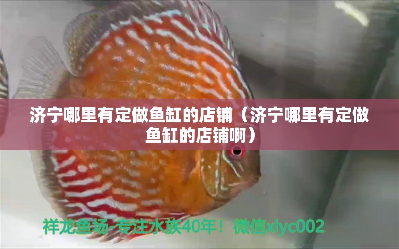 濟寧哪里有定做魚缸的店鋪（濟寧哪里有定做魚缸的店鋪?。?觀賞魚市場（混養(yǎng)魚）