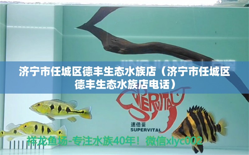 濟(jì)寧市任城區(qū)德豐生態(tài)水族店（濟(jì)寧市任城區(qū)德豐生態(tài)水族店電話）