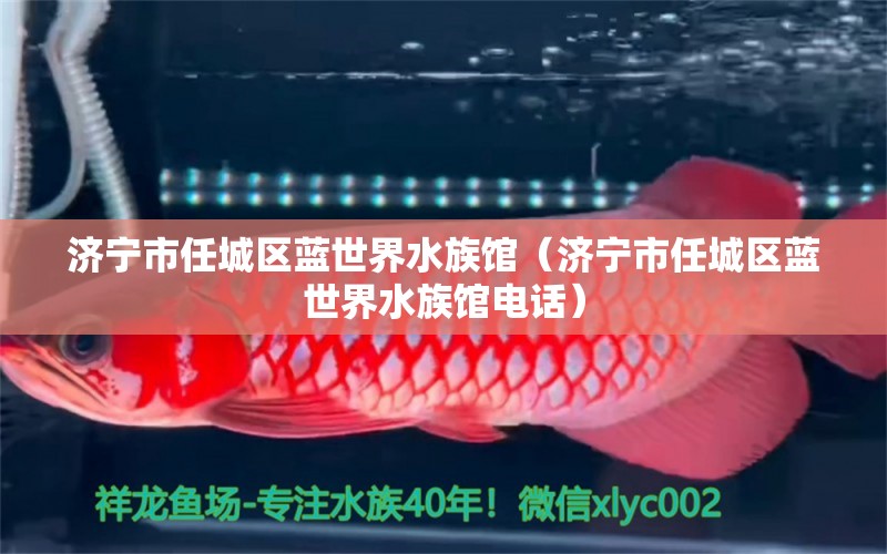 濟寧市任城區(qū)藍世界水族館（濟寧市任城區(qū)藍世界水族館電話） 全國水族館企業(yè)名錄