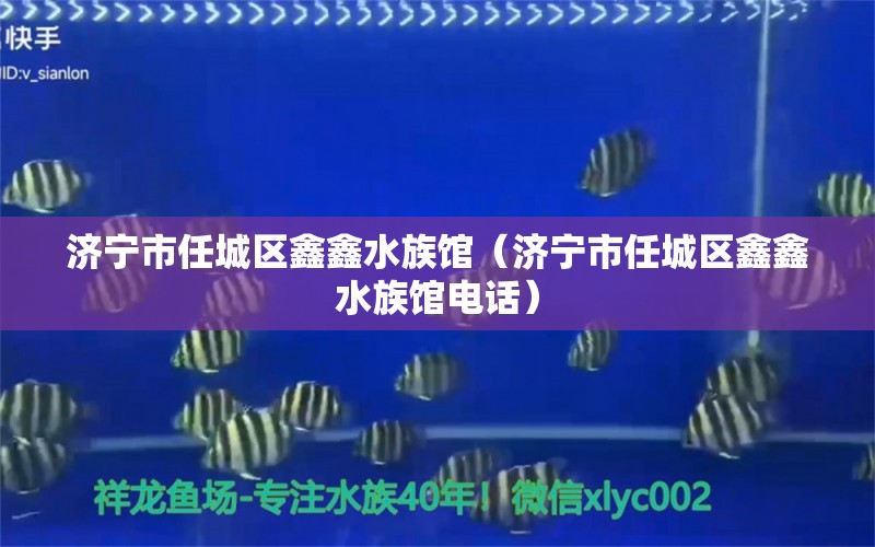 濟(jì)寧市任城區(qū)鑫鑫水族館（濟(jì)寧市任城區(qū)鑫鑫水族館電話）