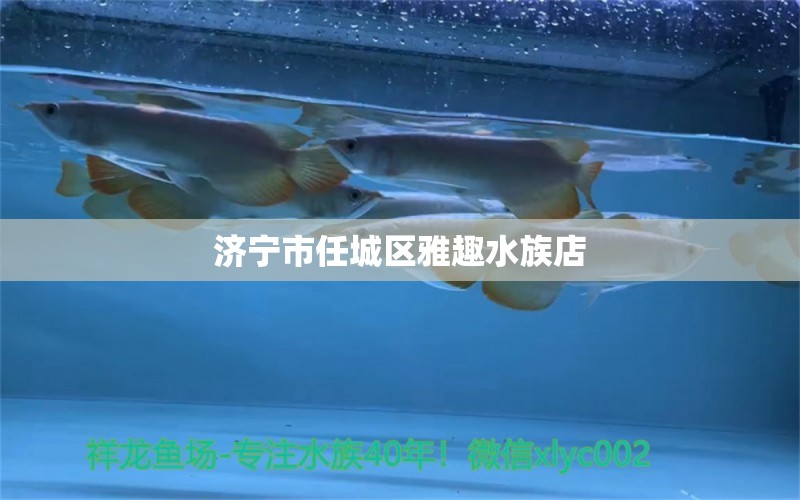 濟(jì)寧市任城區(qū)雅趣水族店 全國水族館企業(yè)名錄