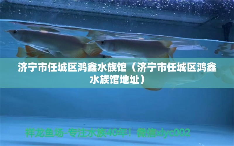 濟(jì)寧市任城區(qū)鴻鑫水族館（濟(jì)寧市任城區(qū)鴻鑫水族館地址）