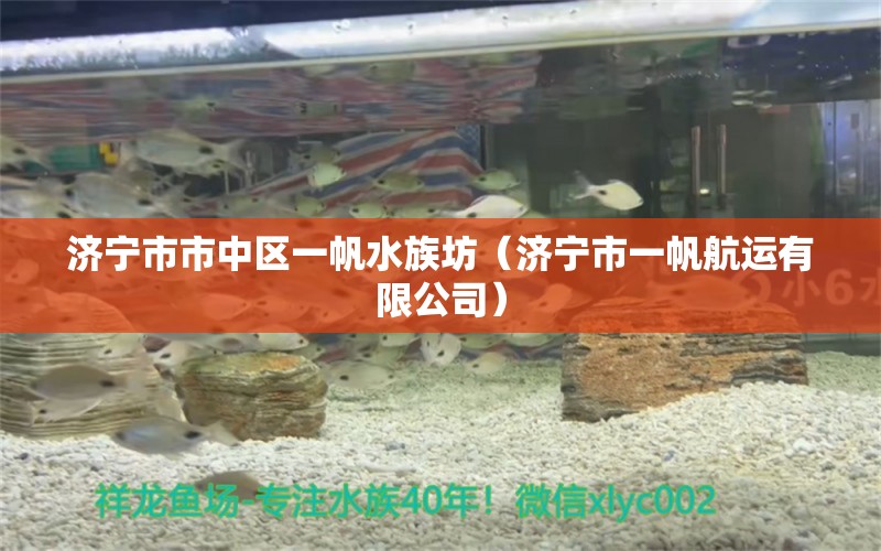 濟(jì)寧市市中區(qū)一帆水族坊（濟(jì)寧市一帆航運(yùn)有限公司） 全國水族館企業(yè)名錄