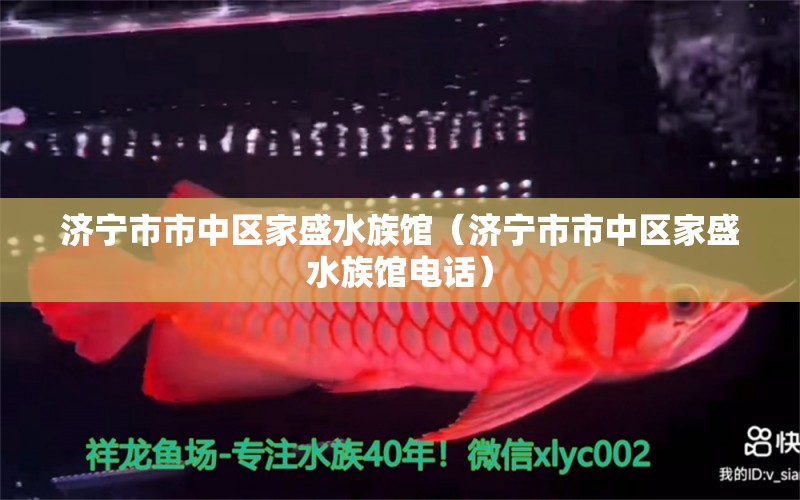 濟寧市市中區(qū)家盛水族館（濟寧市市中區(qū)家盛水族館電話）