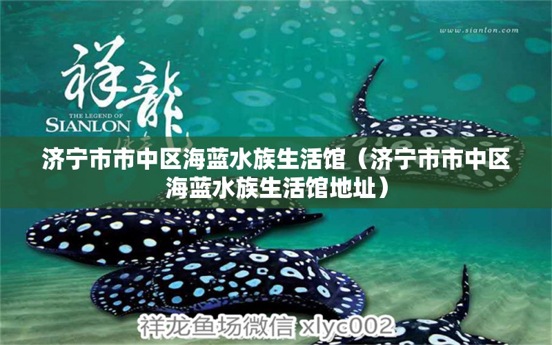 濟(jì)寧市市中區(qū)海藍(lán)水族生活館（濟(jì)寧市市中區(qū)海藍(lán)水族生活館地址）