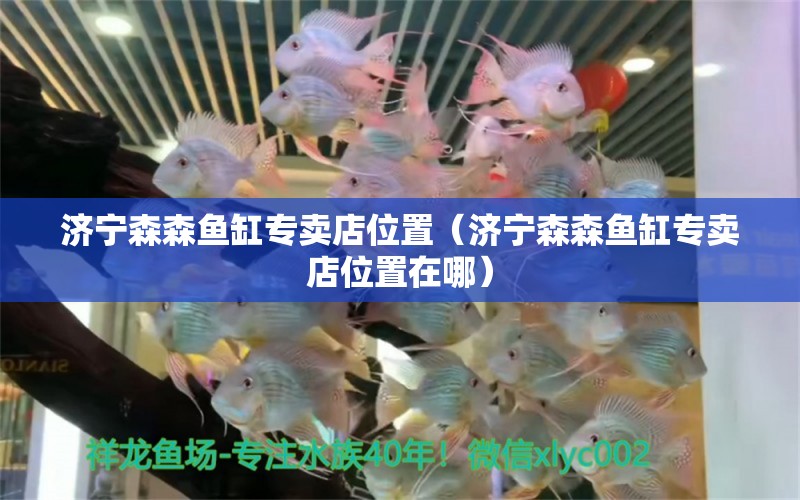 濟寧森森魚缸專賣店位置（濟寧森森魚缸專賣店位置在哪）