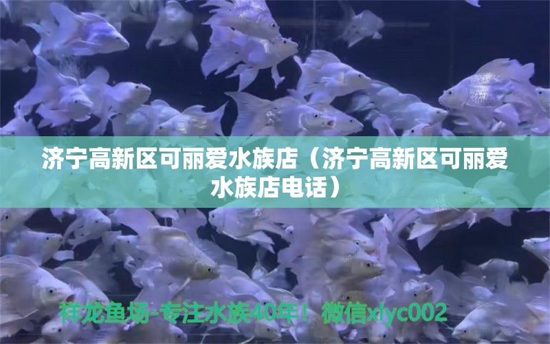 濟(jì)寧高新區(qū)可麗愛(ài)水族店（濟(jì)寧高新區(qū)可麗愛(ài)水族店電話(huà)）