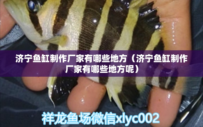 濟寧魚缸制作廠家有哪些地方（濟寧魚缸制作廠家有哪些地方呢）