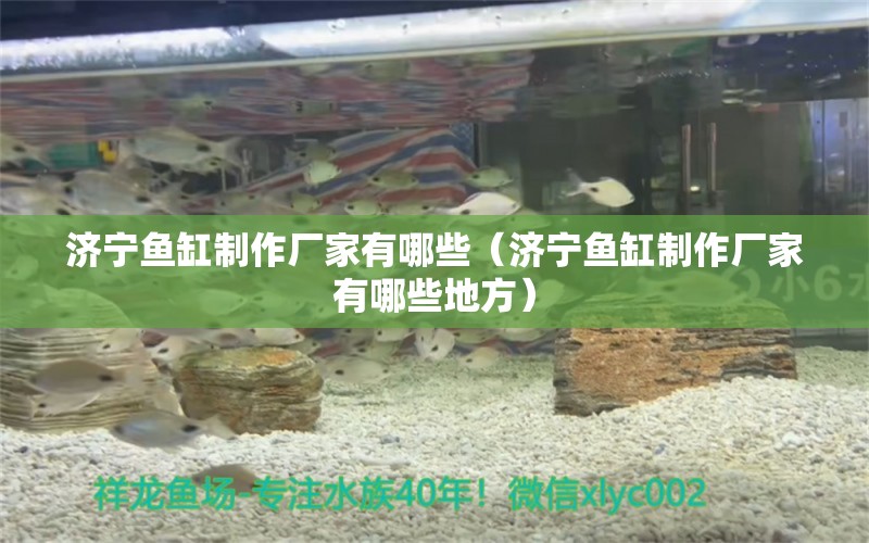 濟寧魚缸制作廠家有哪些（濟寧魚缸制作廠家有哪些地方）