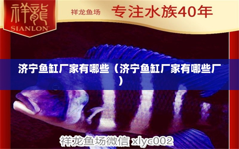 濟寧魚缸廠家有哪些（濟寧魚缸廠家有哪些廠）