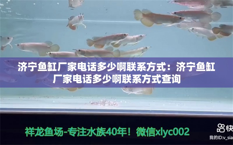 濟寧魚缸廠家電話多少啊聯(lián)系方式：濟寧魚缸廠家電話多少啊聯(lián)系方式查詢