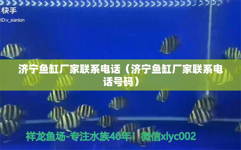 濟寧魚缸廠家聯(lián)系電話（濟寧魚缸廠家聯(lián)系電話號碼）