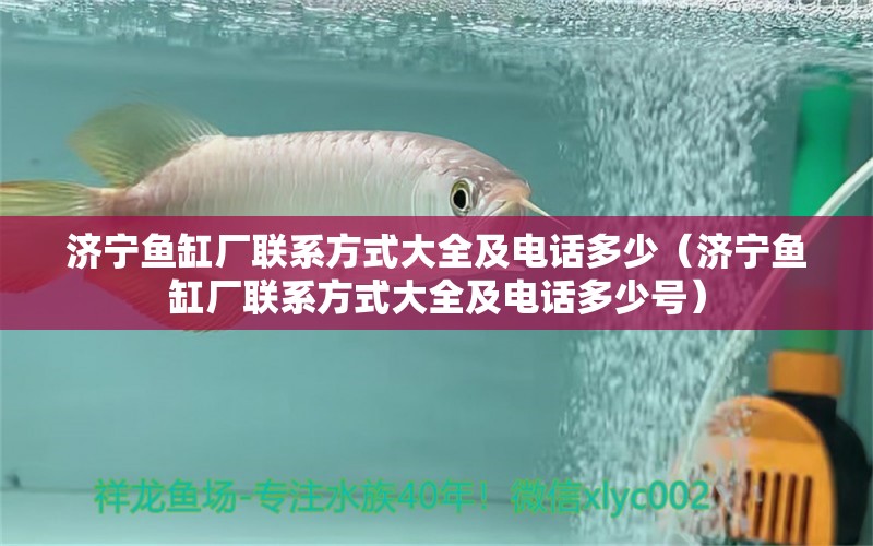 濟寧魚缸廠聯(lián)系方式大全及電話多少（濟寧魚缸廠聯(lián)系方式大全及電話多少號）