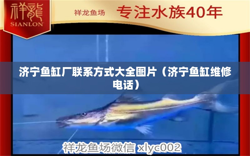 濟寧魚缸廠聯(lián)系方式大全圖片（濟寧魚缸維修電話） 電鰻