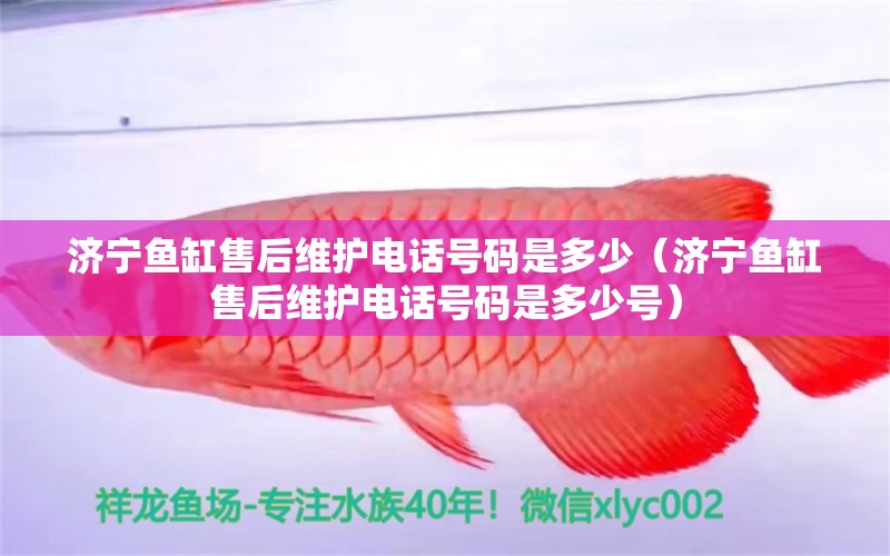 濟(jì)寧魚缸售后維護(hù)電話號(hào)碼是多少（濟(jì)寧魚缸售后維護(hù)電話號(hào)碼是多少號(hào)）