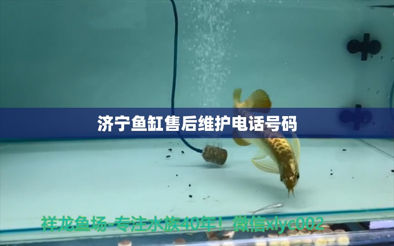 濟(jì)寧魚缸售后維護(hù)電話號碼 其他品牌魚缸