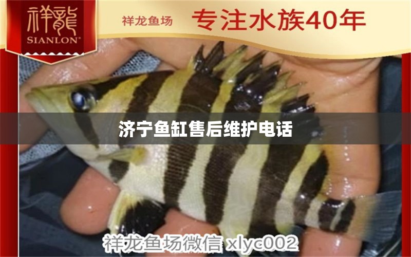 濟(jì)寧魚缸售后維護(hù)電話 其他品牌魚缸