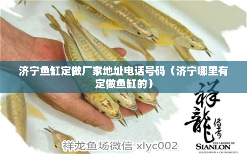 濟(jì)寧魚缸定做廠家地址電話號(hào)碼（濟(jì)寧哪里有定做魚缸的）