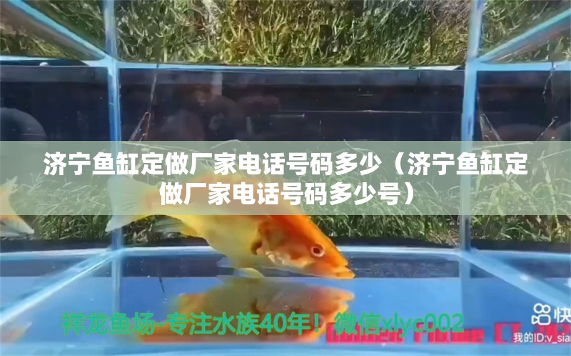 濟寧魚缸定做廠家電話號碼多少（濟寧魚缸定做廠家電話號碼多少號）