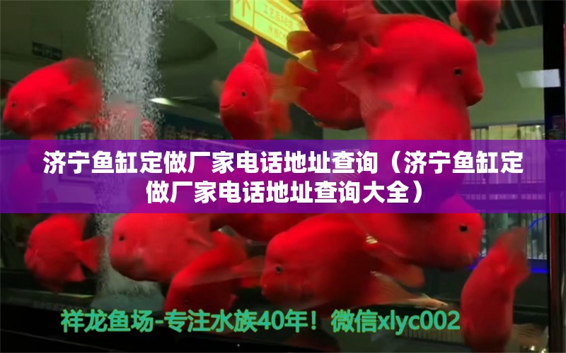 濟(jì)寧魚(yú)缸定做廠家電話地址查詢（濟(jì)寧魚(yú)缸定做廠家電話地址查詢大全） 祥龍水族醫(yī)院