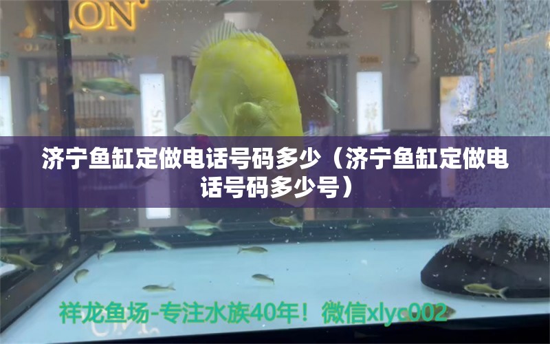 濟寧魚缸定做電話號碼多少（濟寧魚缸定做電話號碼多少號）