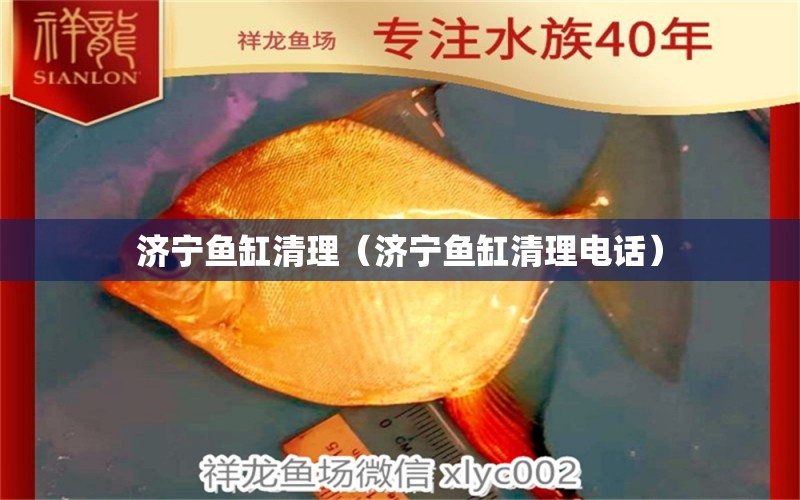 濟寧魚缸清理（濟寧魚缸清理電話）