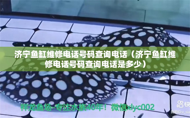 濟寧魚缸維修電話號碼查詢電話（濟寧魚缸維修電話號碼查詢電話是多少）