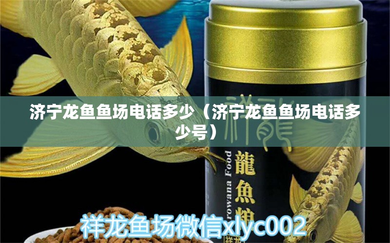 濟寧龍魚魚場電話多少（濟寧龍魚魚場電話多少號）