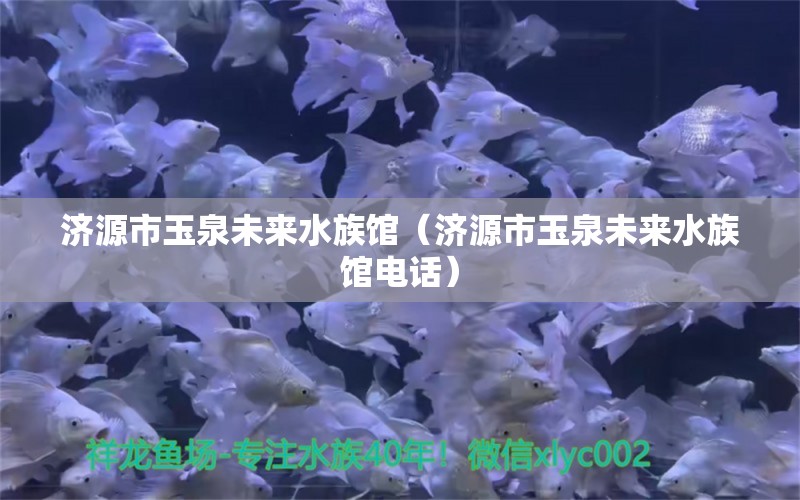 濟(jì)源市玉泉未來水族館（濟(jì)源市玉泉未來水族館電話） 全國水族館企業(yè)名錄