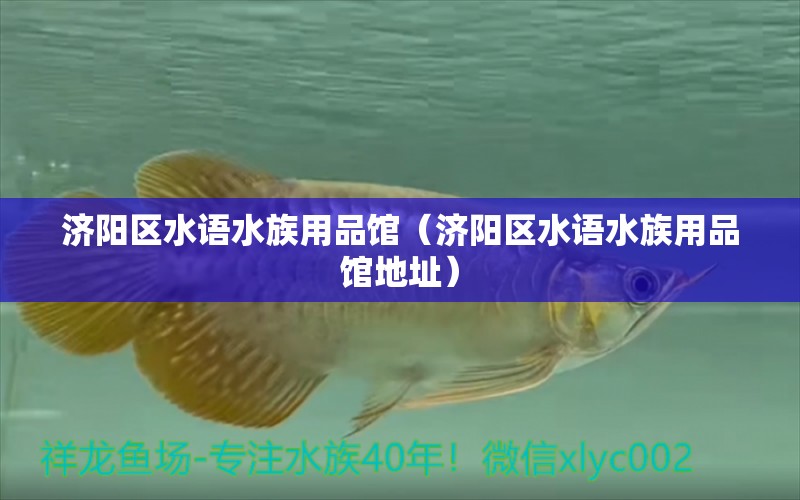 濟陽區(qū)水語水族用品館（濟陽區(qū)水語水族用品館地址）