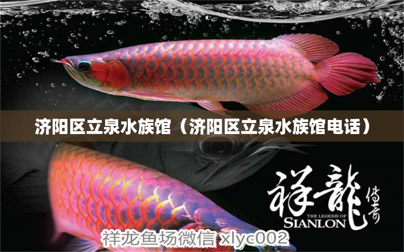 濟(jì)陽區(qū)立泉水族館（濟(jì)陽區(qū)立泉水族館電話）