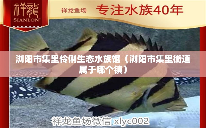 瀏陽(yáng)市集里伶俐生態(tài)水族館（瀏陽(yáng)市集里街道屬于哪個(gè)鎮(zhèn)） 全國(guó)水族館企業(yè)名錄