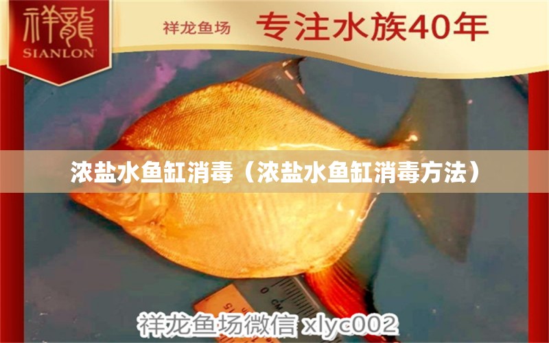 濃鹽水魚缸消毒（濃鹽水魚缸消毒方法）