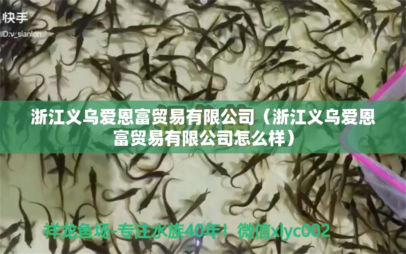 浙江義烏愛恩富貿(mào)易有限公司（浙江義烏愛恩富貿(mào)易有限公司怎么樣）