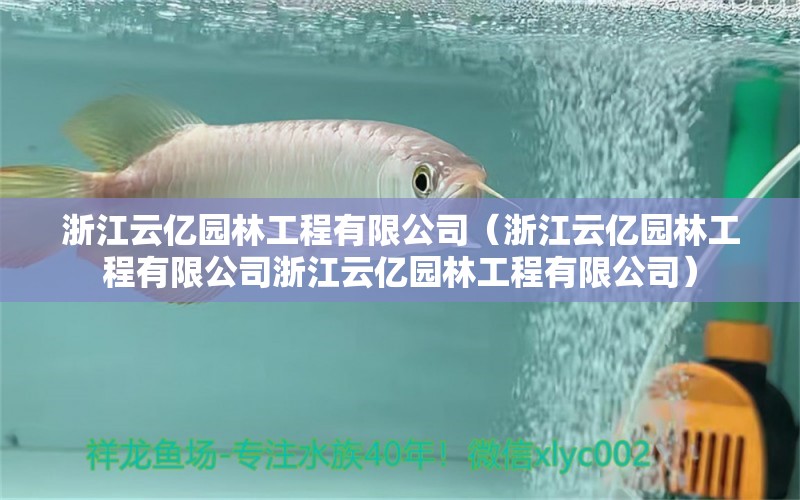 浙江云億園林工程有限公司（浙江云億園林工程有限公司浙江云億園林工程有限公司） 水族周邊 第2張