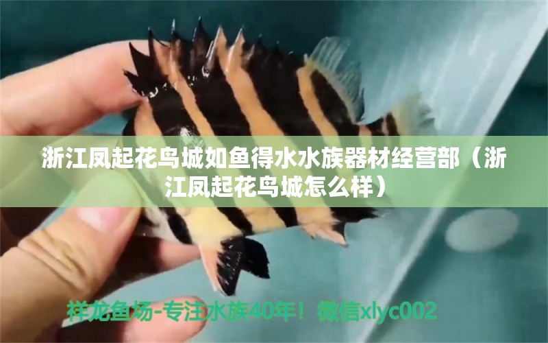 浙江鳳起花鳥城如魚得水水族器材經(jīng)營部（浙江鳳起花鳥城怎么樣）