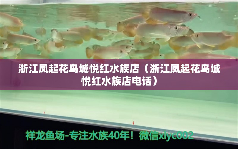 浙江鳳起花鳥城悅紅水族店（浙江鳳起花鳥城悅紅水族店電話） 全國(guó)水族館企業(yè)名錄