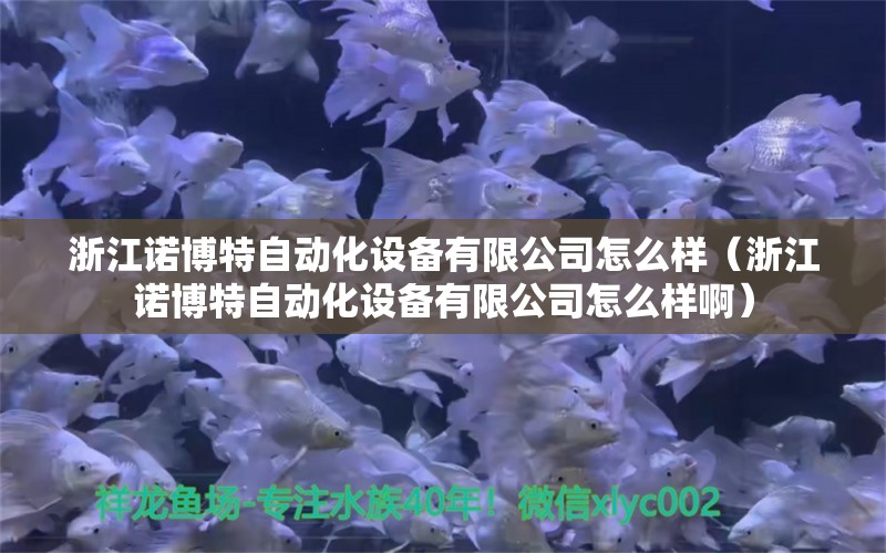 浙江諾博特自動(dòng)化設(shè)備有限公司怎么樣（浙江諾博特自動(dòng)化設(shè)備有限公司怎么樣?。? title=