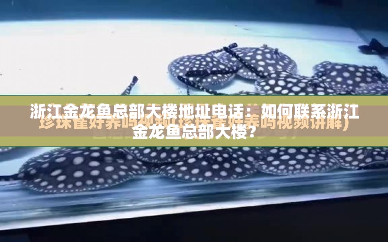 浙江金龍魚總部大樓地址電話：如何聯(lián)系浙江金龍魚總部大樓？ 水族問(wèn)答