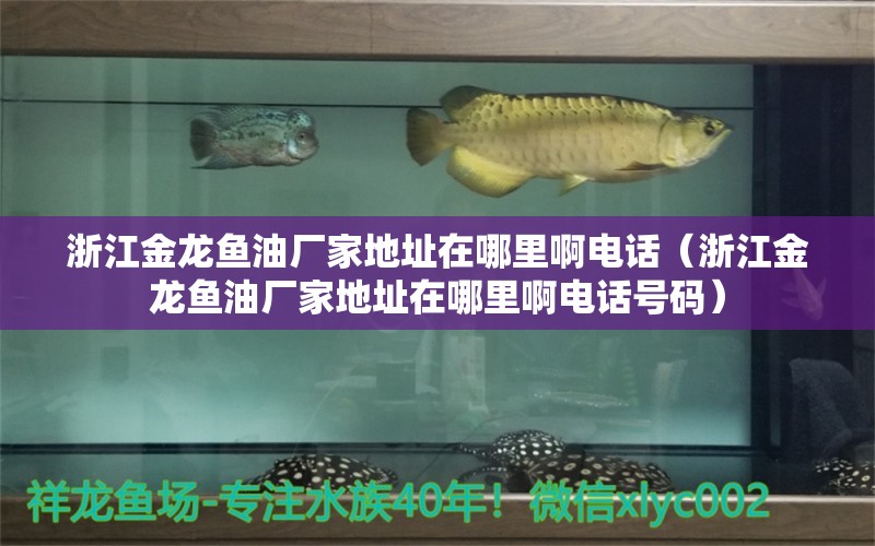 浙江金龍魚油廠家地址在哪里啊電話（浙江金龍魚油廠家地址在哪里啊電話號(hào)碼） 祥龍水族醫(yī)院