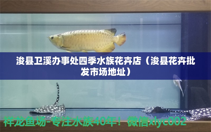 浚縣衛(wèi)溪辦事處四季水族花卉店（?？h花卉批發(fā)市場地址） 全國水族館企業(yè)名錄