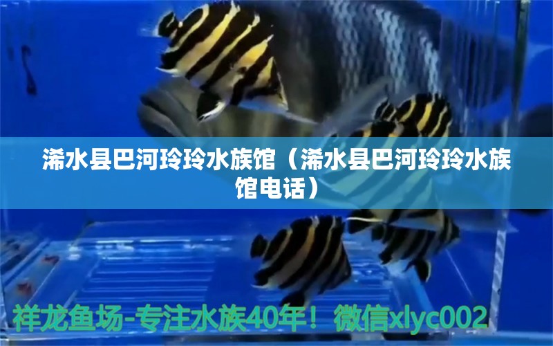 浠水縣巴河玲玲水族館（浠水縣巴河玲玲水族館電話） 全國水族館企業(yè)名錄