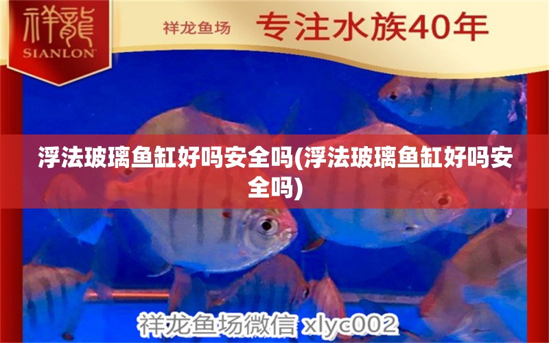 浮法玻璃魚缸好嗎安全嗎(浮法玻璃魚缸好嗎安全嗎)