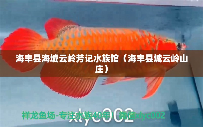 海豐縣海城云嶺芳記水族館（海豐縣城云嶺山莊）