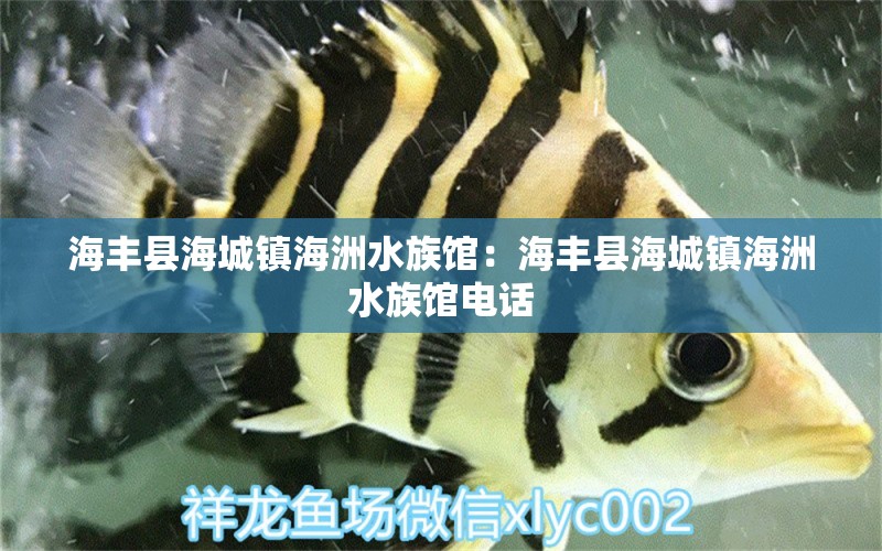 海豐縣海城鎮(zhèn)海洲水族館：海豐縣海城鎮(zhèn)海洲水族館電話