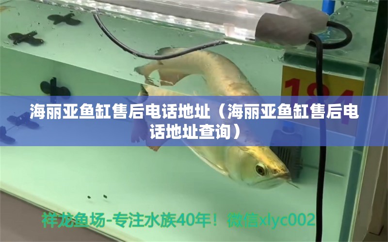 海麗亞魚(yú)缸售后電話地址（海麗亞魚(yú)缸售后電話地址查詢）