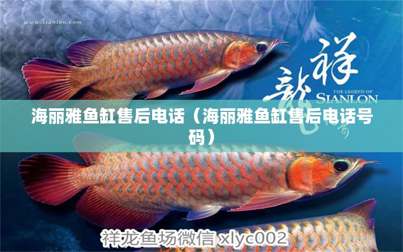 海麗雅魚缸售后電話（海麗雅魚缸售后電話號碼）