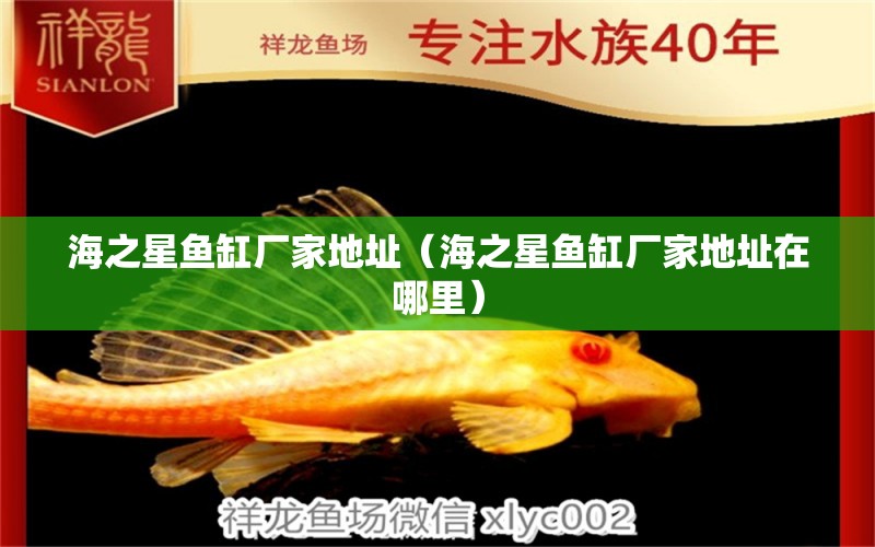 海之星魚缸廠家地址（海之星魚缸廠家地址在哪里） 魚缸/水族箱